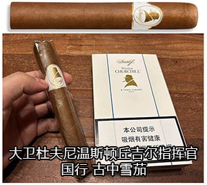 大卫杜夫温斯顿丘吉尔指挥官 上海大卫杜夫雪茄专卖店  2024大卫杜夫雪茄价格表