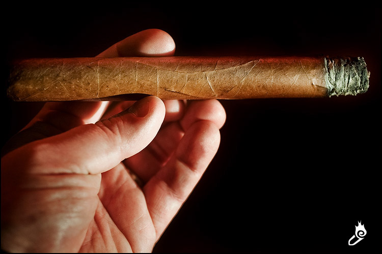 罗拜娜 罗拜娜
