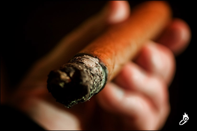 罗拜娜 罗拜娜