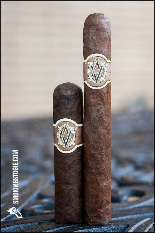 AVO 遗产 短罗布图 - AVO HERITAGE SHORT ROBUSTO