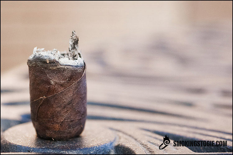 AVO 遗产 短罗布图 - AVO HERITAGE SHORT ROBUSTO