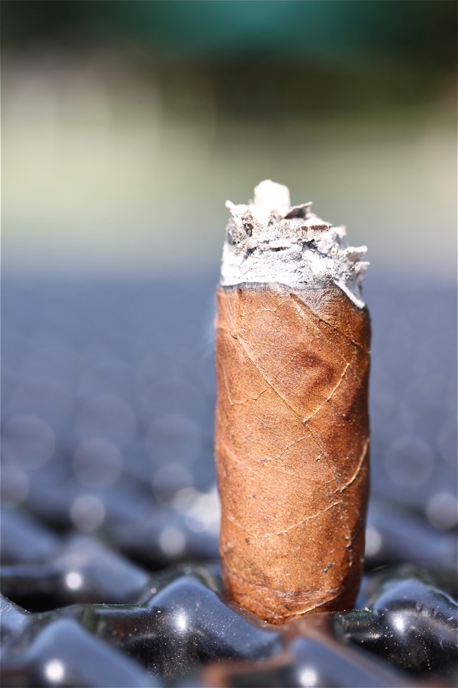大卫杜夫经典 1 号 6.JPG 大卫杜夫经典1号 - DAVIDOFF CLASSIC NO.1