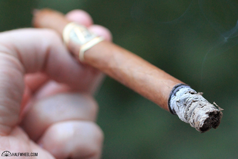 AVO 遗产长矛手雪茄 - AVO HERITAGE LANCERO