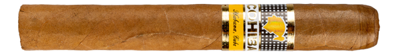 高希霸世纪二号‌ COHIBA SIGLO II 雪茄