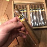 泰山将军战神1号雪茄综合信息