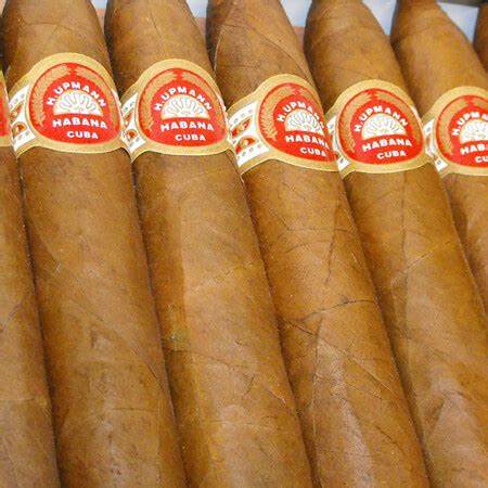 优民2号(H. Upmann No.2)雪茄综合解析